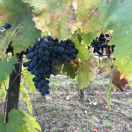 Agriturismo Beata Vanna فابرو المظهر الخارجي الصورة