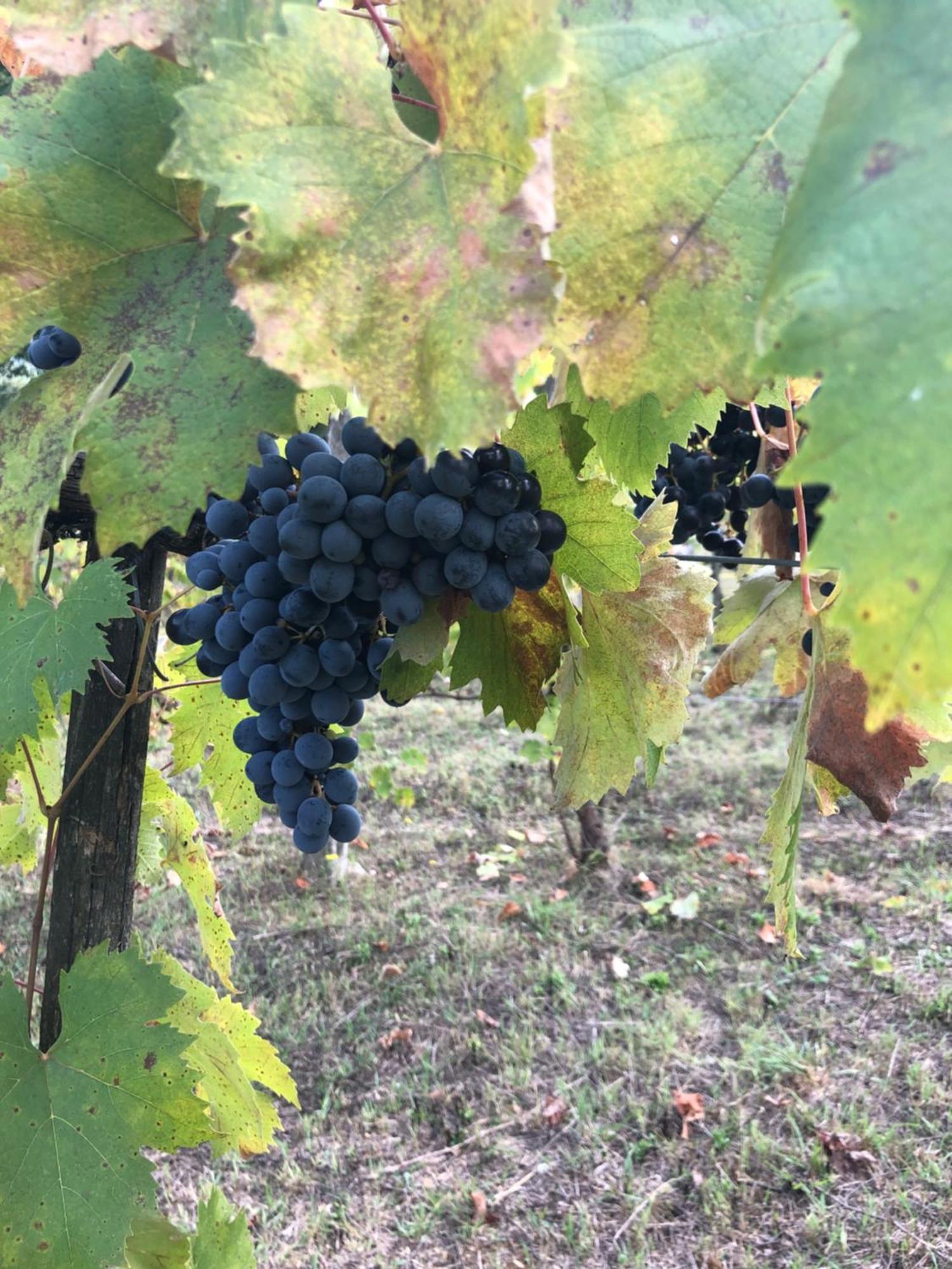 Agriturismo Beata Vanna فابرو المظهر الخارجي الصورة