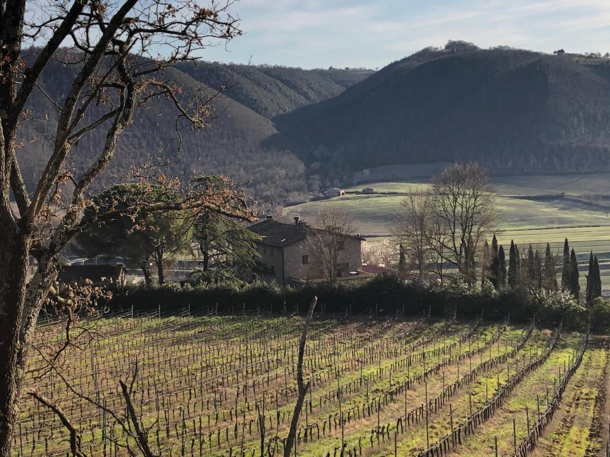 Agriturismo Beata Vanna فابرو المظهر الخارجي الصورة